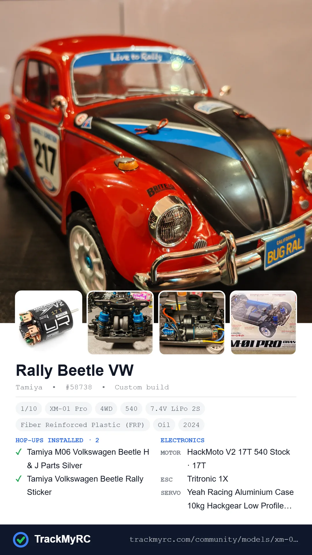Rally Beetle VW